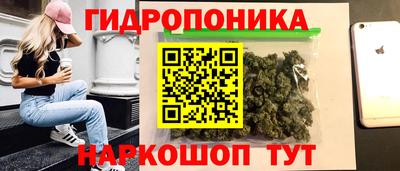 ECSTASY Моздок