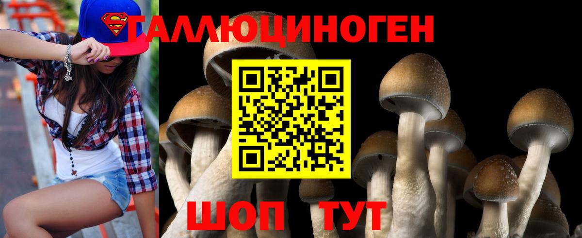 Псилоцибиновые грибы MAGIC MUSHROOMS Бузулук